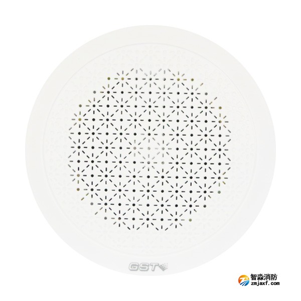 天津海灣HY6251吸頂音箱