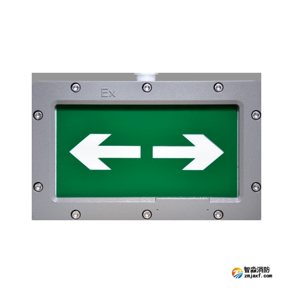 天津海灣HW-BLJC-1LREI0.5W-VN850單面雙向應(yīng)急疏散指示燈