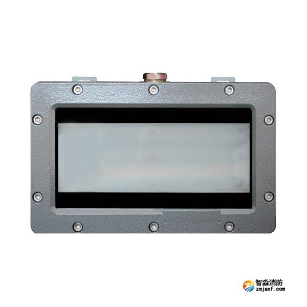 天津海灣HW-ZFJC-E6W-VN860壁掛照明燈