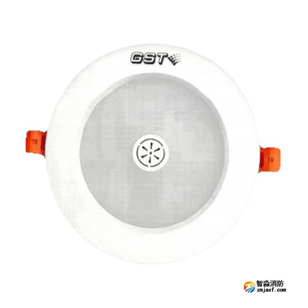 天津海灣HW-ZFJC-E9W-N652SG集中電源集中控制型消防應(yīng)急照明燈具